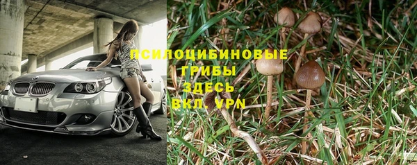 индика Елизово