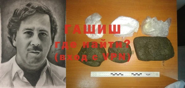 индика Елизово