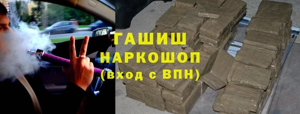 индика Елизово