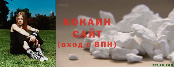 индика Елизово