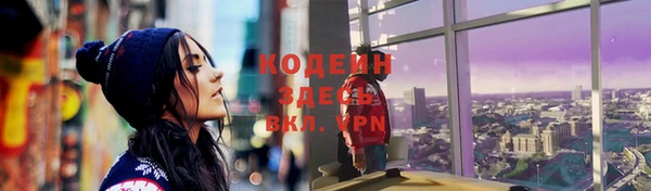 индика Елизово