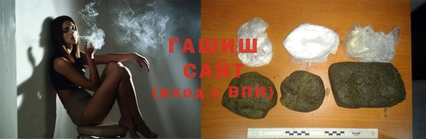 индика Елизово