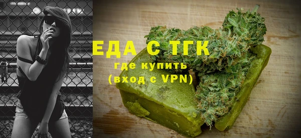 индика Елизово