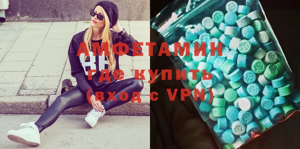 индика Елизово