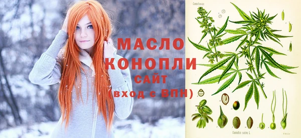 индика Елизово