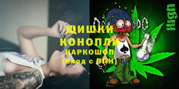 индика Елизово