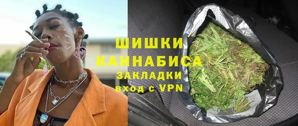 индика Елизово