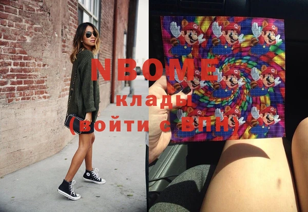 индика Елизово