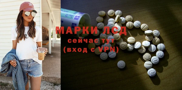 индика Елизово