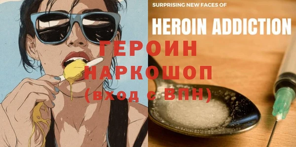 индика Елизово