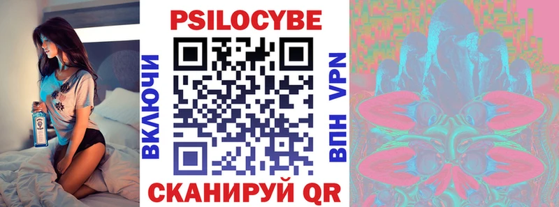 Купить где  Кочубеевское  Псилоцибиновые грибы Psilocybe 